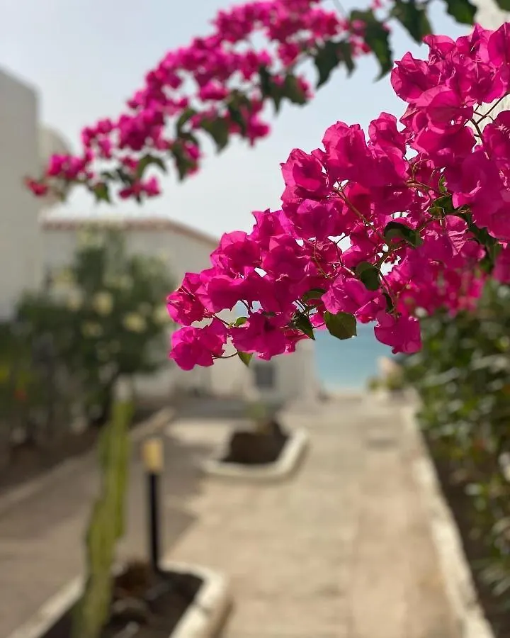Casa Blanka Bahia Playa Anlage Costa Calma Daire